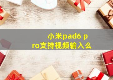 小米pad6 pro支持视频输入么